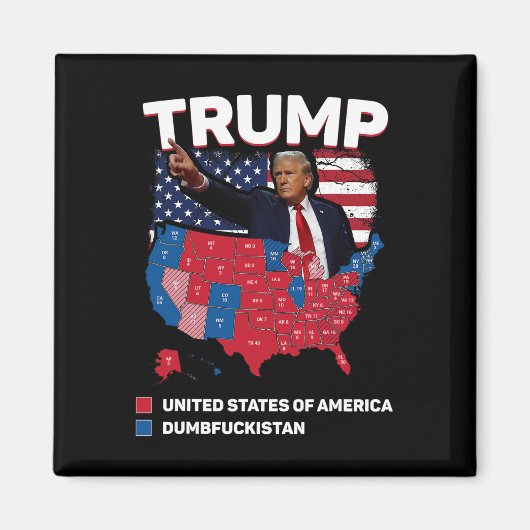 Wahlplan 2024 USA Dumbist Magnet (Vorne)