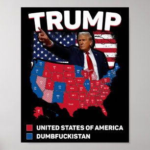 Wahlplan 2024 USA Dumbist Poster