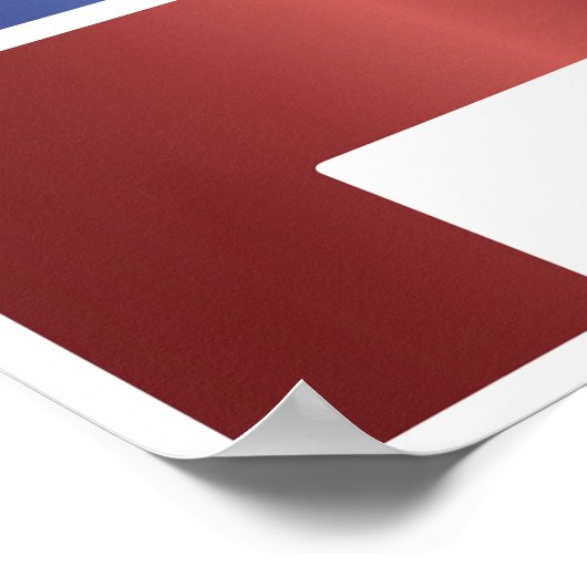 Wahltag-Poster Poster (Ecke)