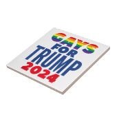 Wahlversprechen für Trump 2024 Fliese (Seite)