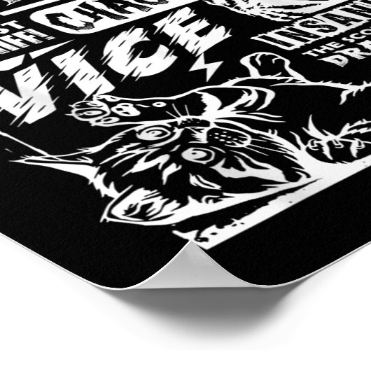 Wahnsinn Funny Cat Geschenke für Katze Lover Katze Poster (Ecke)