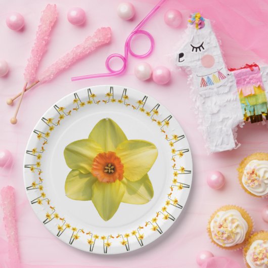 Wahnsinn. Pappteller (Party)