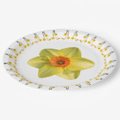 Wahnsinn. Pappteller (Schrägansicht)