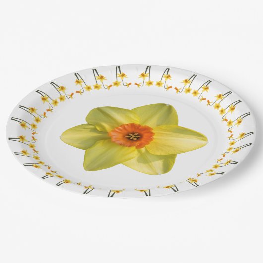 Wahnsinn. Pappteller (Schrägansicht)