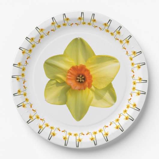 Wahnsinn. Pappteller (Vorderseite)