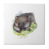 Wahnsinnig niedliche australische Wombat Vintag Fliese (Vorderseite)