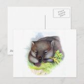 Wahnsinnig niedliche australische Wombat Vintag Postkarte (Vorne/Hinten)