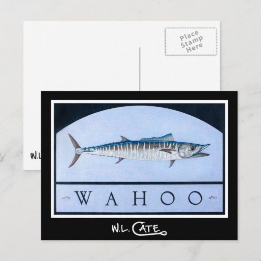 Wahoo Postkarten (Vorne/Hinten)