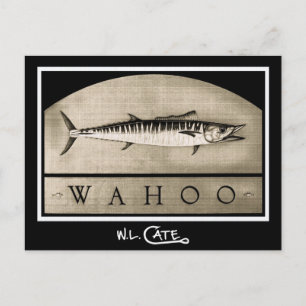 Wahoo Vintage Schwarz/Weiß Postkarten