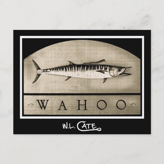 Wahoo Vintage Schwarz/Weiß Postkarten (Vorderseite)