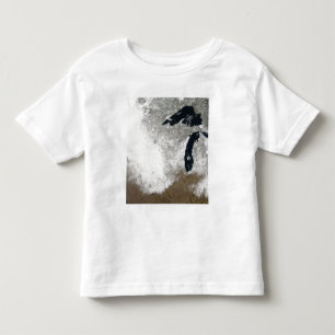 Wahr-Farbebild des Schnees Kleinkind T-shirt