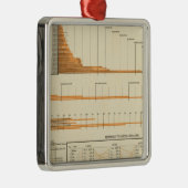 Wahre Bewertung Silbernes Ornament (Rechts)