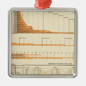 Wahre Bewertung Silbernes Ornament (Vorne)