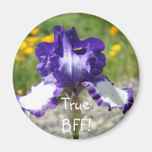 Wahre BFF! Magnetgeschenke Lila Schwertlilie Magne Magnet