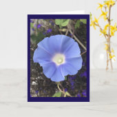 Wahre Blaue Prunkwinde Karte (Gelbe Blume)