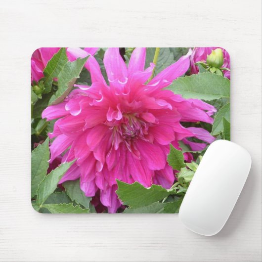 "Wahre Farben der Dahlie… " Mousepad (Mit Mouse)