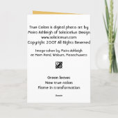 Wahre Farben Karte (Rückseite)