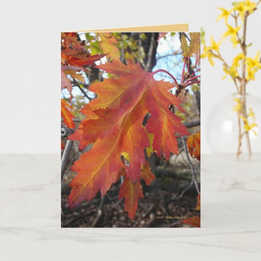 Wahre Farben Karte (Gelbe Blume)