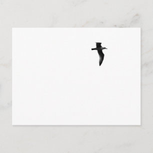 Wahre Freiheit Postkarte