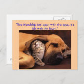 "Wahre Freundschaft ... Postkarte (Vorne/Hinten)