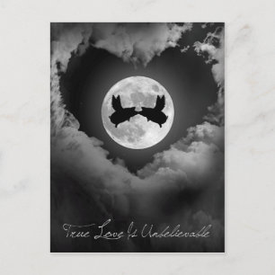 Wahre Liebe ist unglaublich fliegende Schweine küs Postkarte