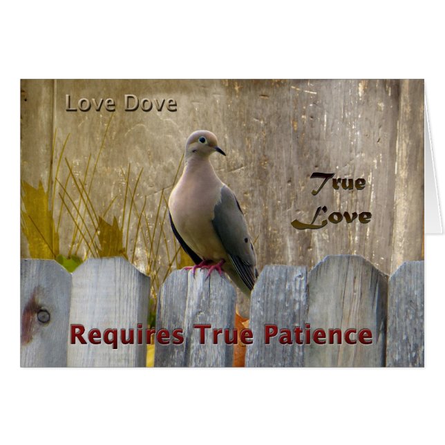Wahre Liebe Liebe Taube (Vorderseite (Horizontal))