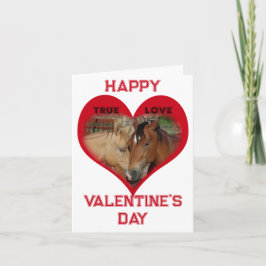 Wahre Liebe Pferde Rotes Konversationsherz Valenti