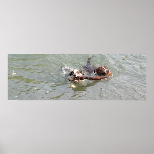 wahre Liebe Poster (Vorne)