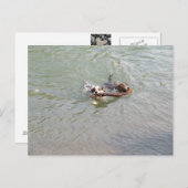 Wahre Liebe Postkarte (Vorne/Hinten)