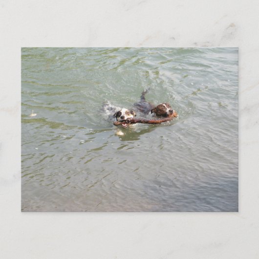 Wahre Liebe Postkarte (Vorderseite)