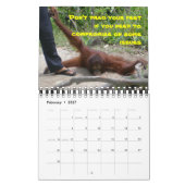 Wahre Liebe Romantik Rat Kalender (Feb 2027)