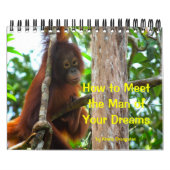 Wahre Liebe Romantik Rat Kalender (Titelbild)