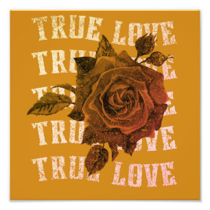 Wahre Liebe Rose Romantischer Valentinstag B&W Fotodruck