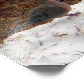 Wahre Liebe Trauertauben Fotodruck (Ecke)