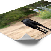 Wahre Liebe wartet Poster (Ecke)