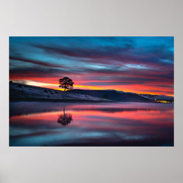 Während der goldenen Stunde reflektiert ein Baum e Poster