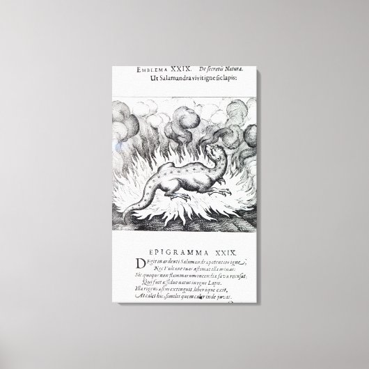 Während der Salamander brennt Leinwanddruck (Vorderseite)