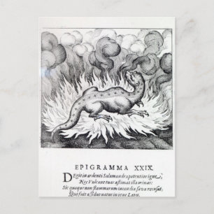 Während der Salamander brennt Postkarte