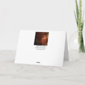 Während Mary schläft Feiertagskarte (Rückseite)