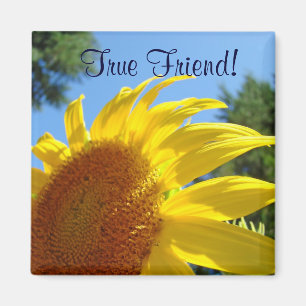 Wahrer Freund! Magnet Sonnenblumen Freundschaft Ma
