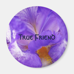 Wahrer Freund Magnet Violette Iris Blumen Magnet G