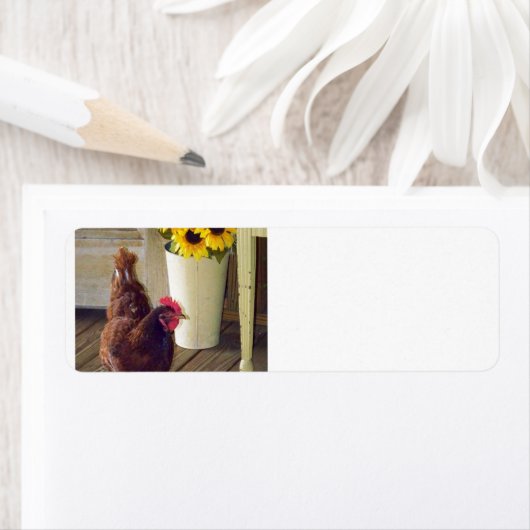 Wahres Land (Insitu)