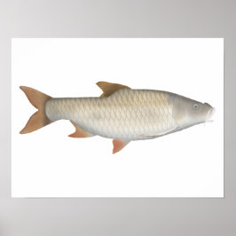 Wahres Tetra-Poster im großen Stil Poster