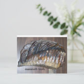 wahres Zahnfleisch, Mammutzahn Postkarte (Stehend Vorderseite)