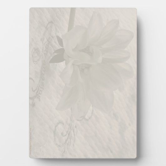 Wahrhaft Phantastisch Dahlia Fotoplatte (Vorderseite)