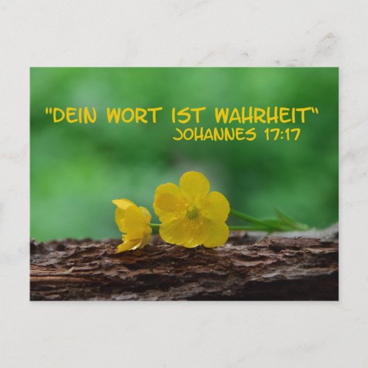 Wahrheit. Postkarte (Vorderseite)