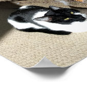 Wahrheit über Cats Meme Poster (Ecke)