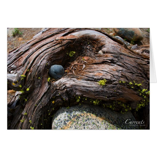 Währungskarte (Vorderseite (Horizontal))