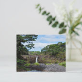 wai'ale fällt in den Park des Staat Wailuku Postkarte (Stehend Vorderseite)