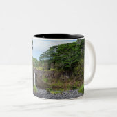 wai'ale fällt in den Park des Staat Wailuku Zweifarbige Tasse (VorderseiteRechts)